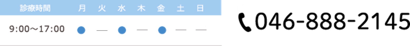 診療時間9:00〜17:00　休診日：日曜　TEL:046-888-2145